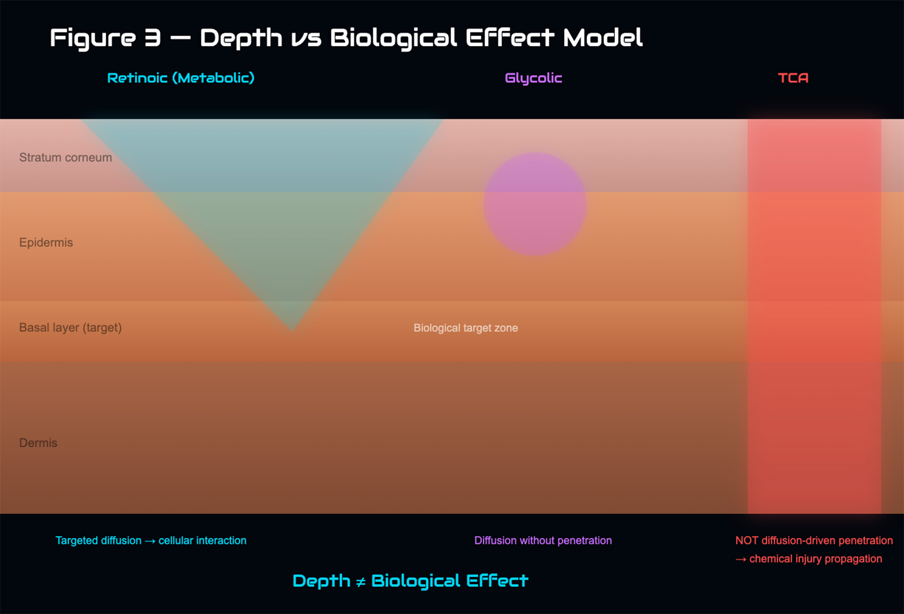 Conceptual model comparing metabolic, glycolic, and TCA peels, showing that biological effect does not depend solely on penetration depth
