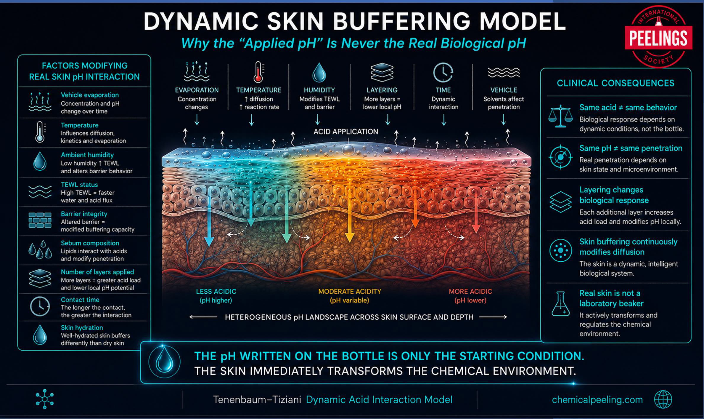 Dynamic skin buffering model in chemical and metabolic peels