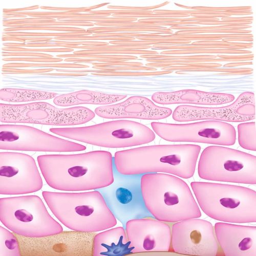 mechanisms-of-action